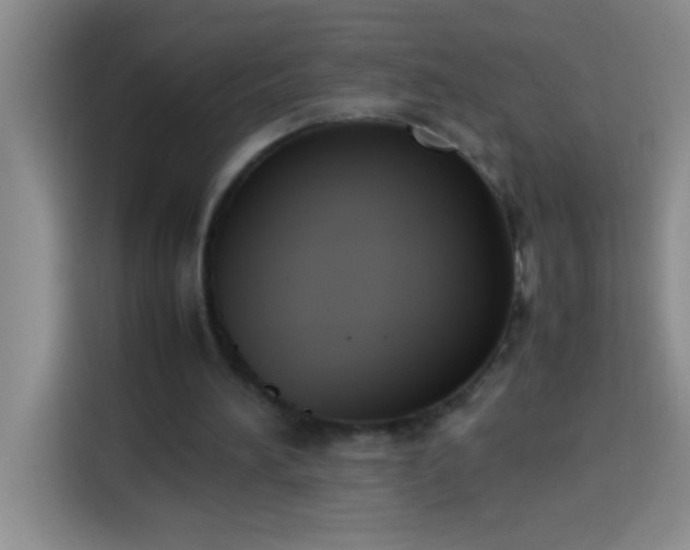 X0000113910196200910011455