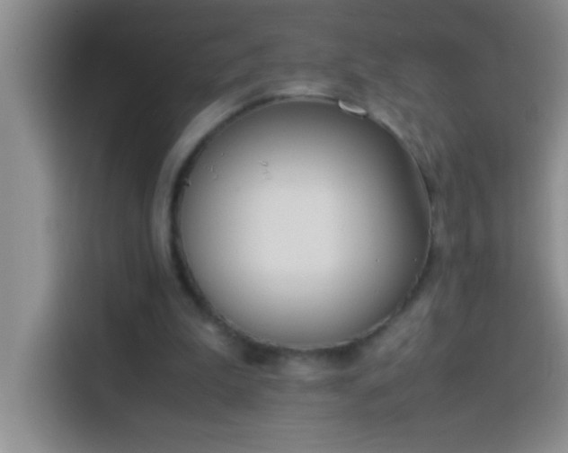 X0000113910199200910011455