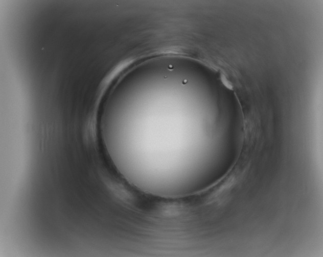 X0000113910200200910011455