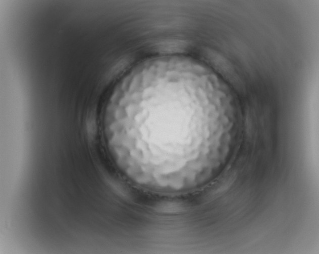 X0000113910202200910011455