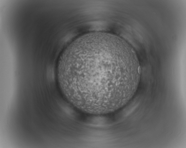 X0000113910203200910011455