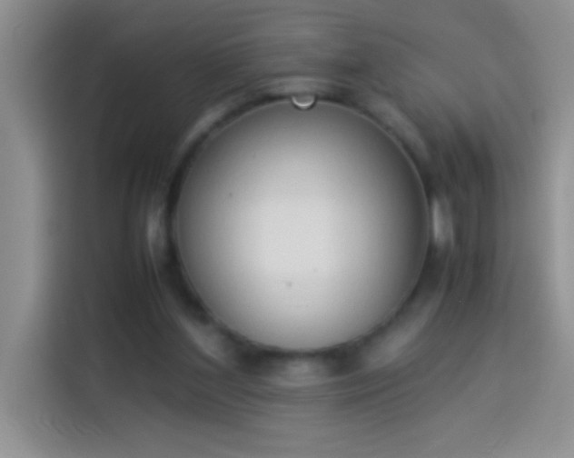 X0000113910204200910011455