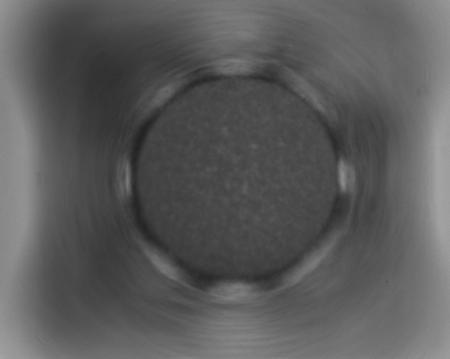 X0000113910205200910011455