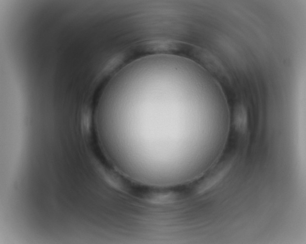 X0000113910206200910011455