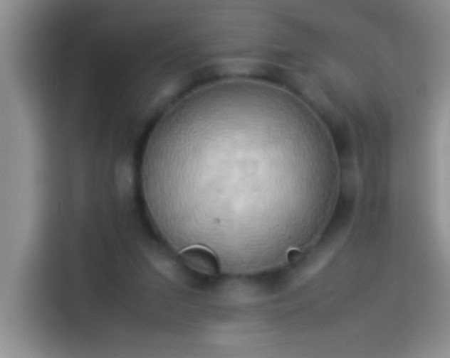 X0000113910207200910011455