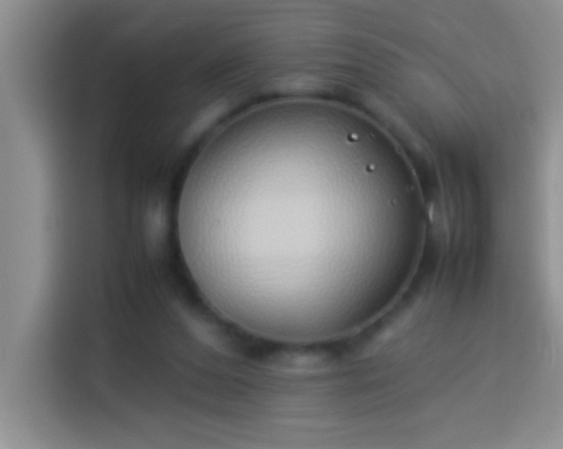 X0000113910208200910011455