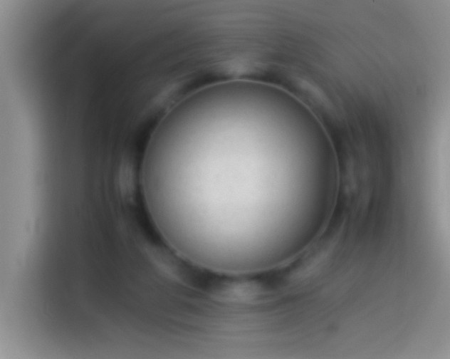 X0000113910210200910011455