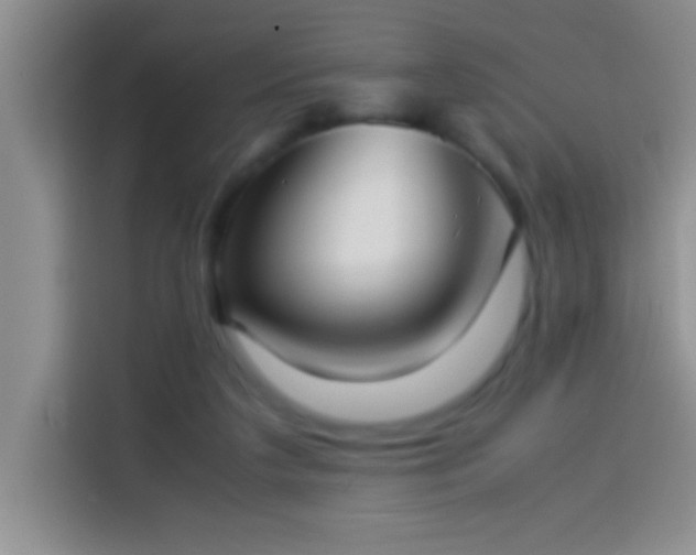 X0000113910211200910011455