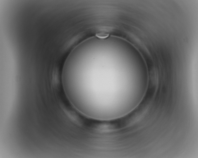 X0000113910212200910011455