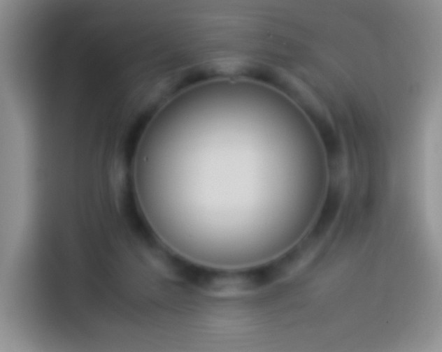 X0000113910213200910011455