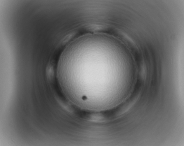 X0000113910214200910011455