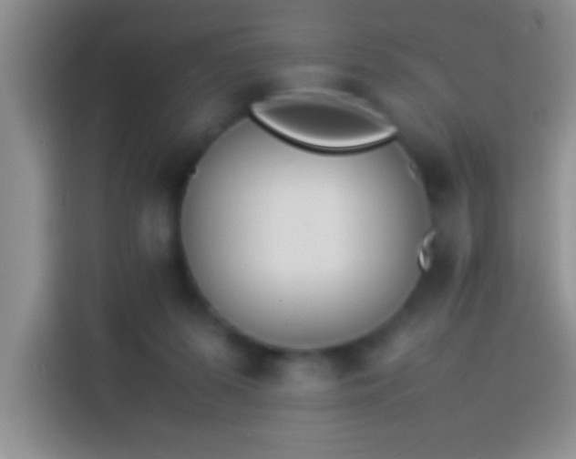 X0000113910215200910011455