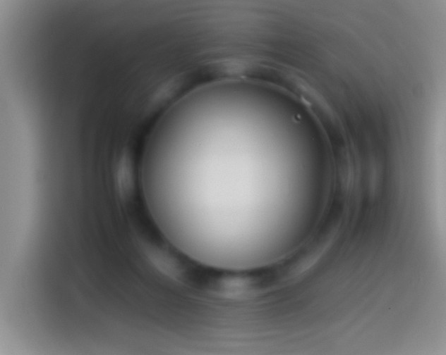 X0000113910216200910011455