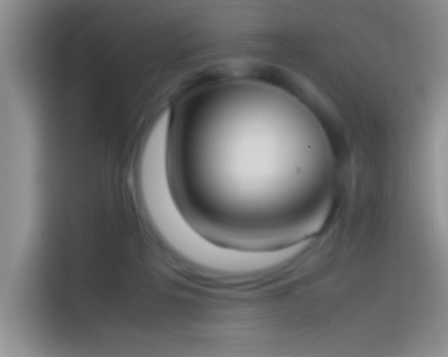 X0000113910217200910011455