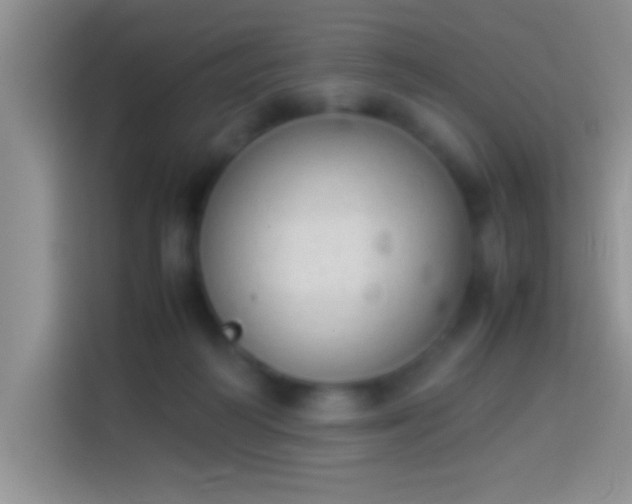 X0000113910218200910011455