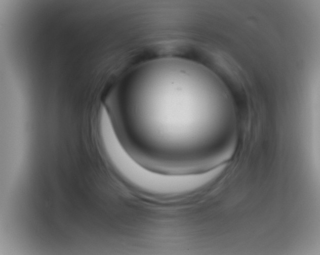 X0000113910219200910011455