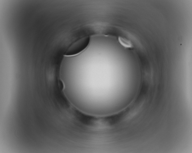 X0000113910221200910011455