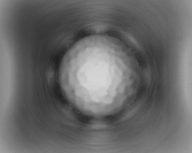 X0000113910222200910011455