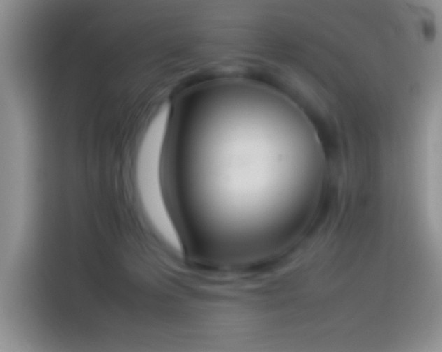 X0000113910223200910011455