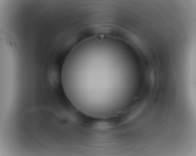 X0000113910224200910011455