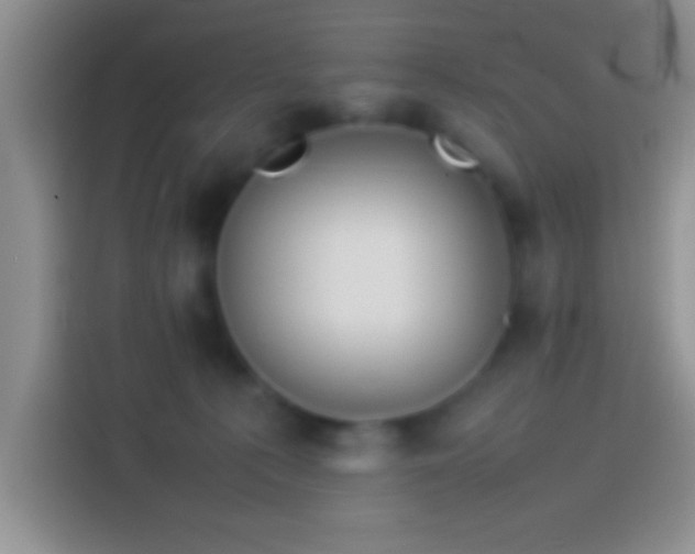 X0000113910225200910011455