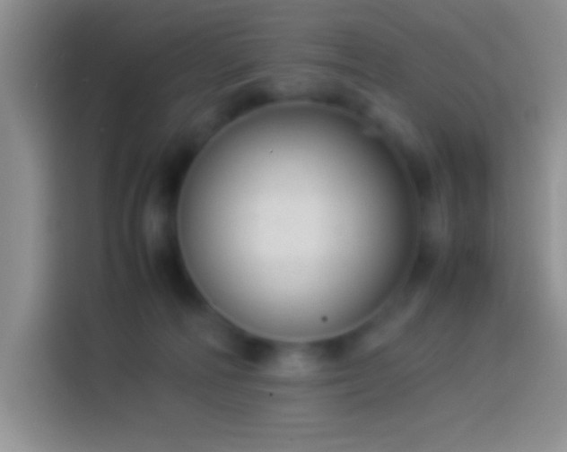 X0000113910226200910011455