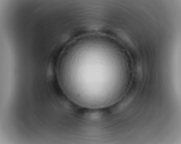 X0000113910228200910011455