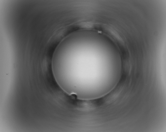 X0000113910229200910011455