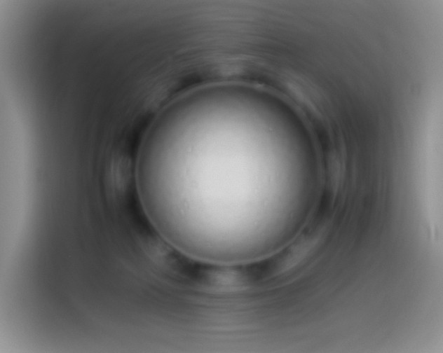 X0000113910230200910011455