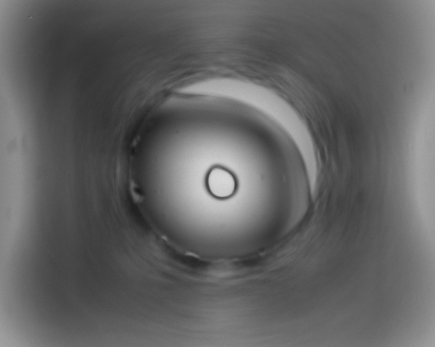 X0000113910231200910011455