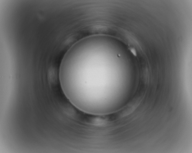 X0000113910232200910011455