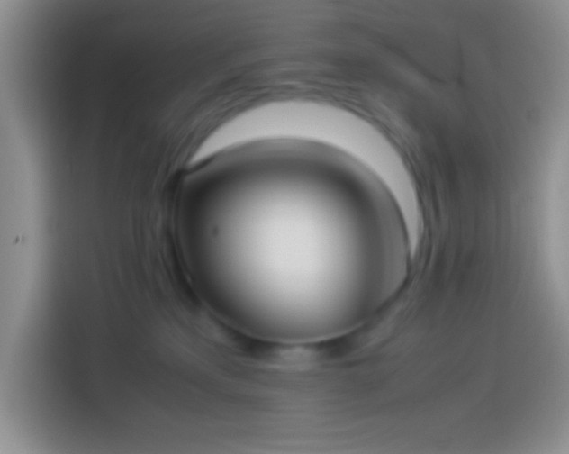 X0000113910233200910011455