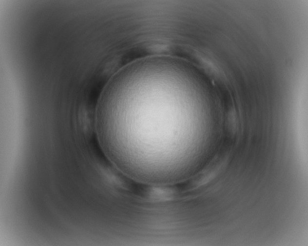 X0000113910234200910011455