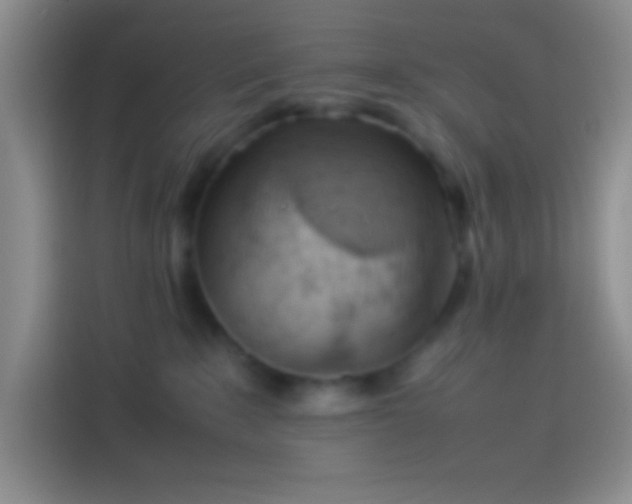 X0000113910235200910011455