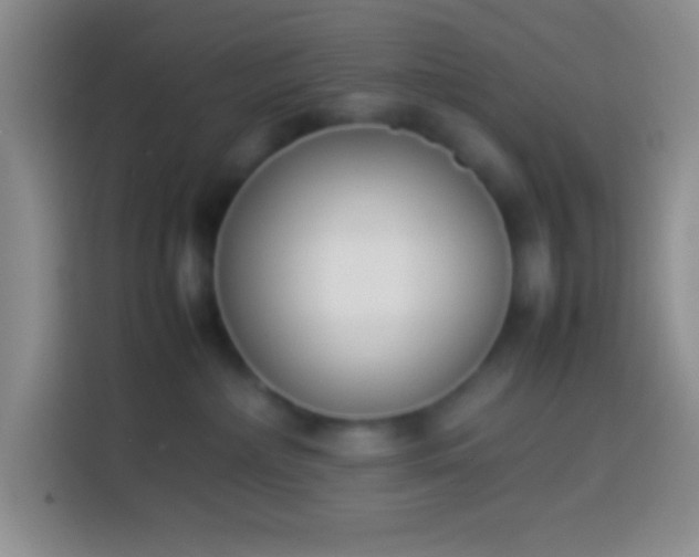 X0000113910236200910011455