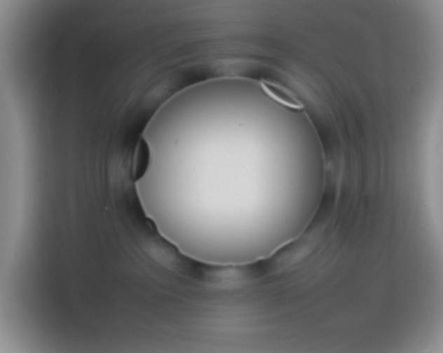 X0000113910237200910011455