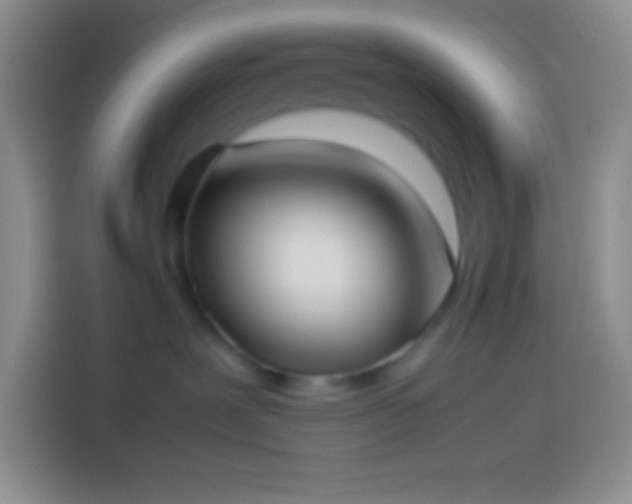 X0000113910239200910011455