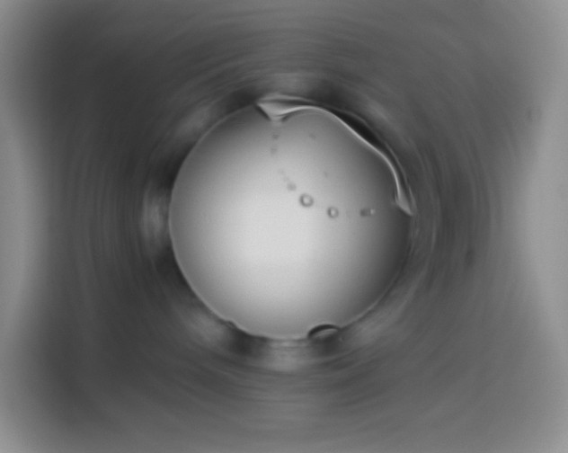 X0000113910240200910011455