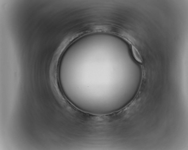 X0000113910241200910011454