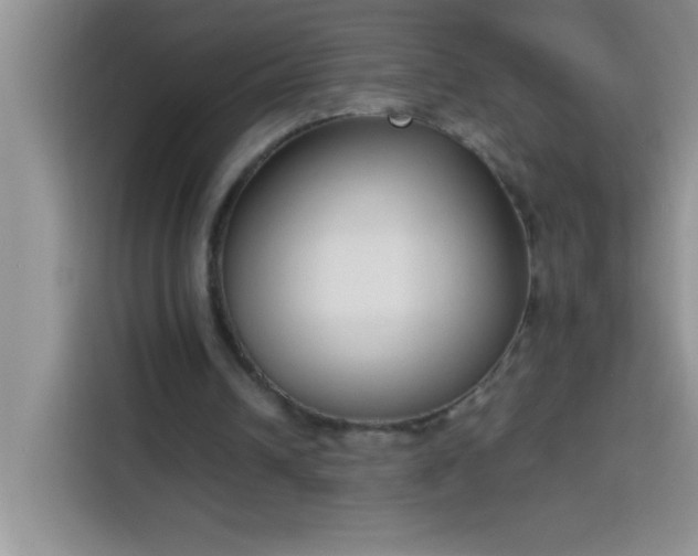 X0000113910242200910011454