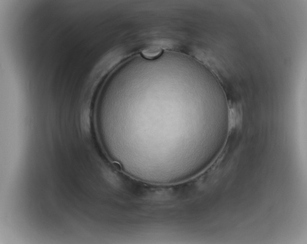 X0000113910243200910011454