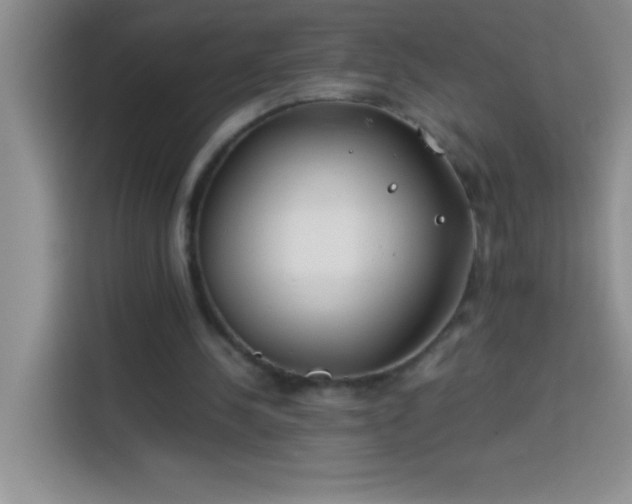 X0000113910244200910011454