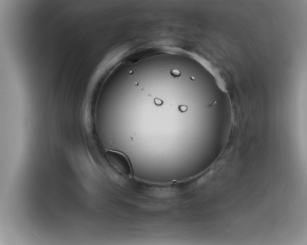 X0000113910245200910011454