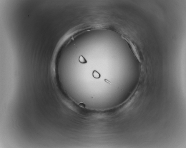 X0000113910246200910011454