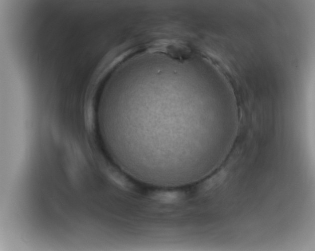 X0000113910247200910011454