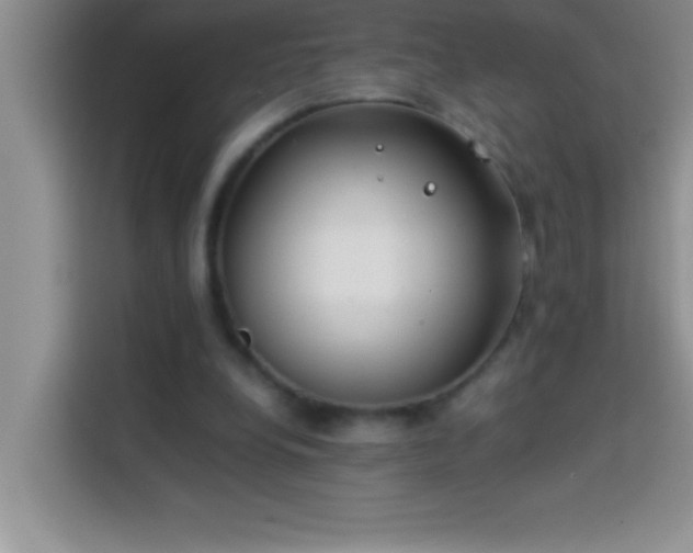 X0000113910248200910011454