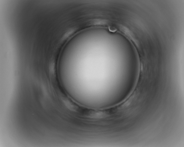 X0000113910249200910011454