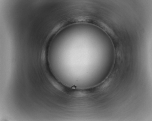 X0000113910250200910011454