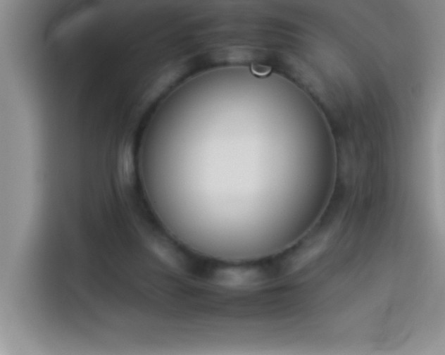 X0000113910251200910011454