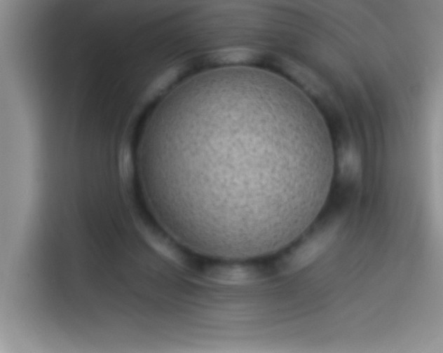 X0000113910254200910011454